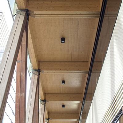 Colonnade columns and engineered timber soffit